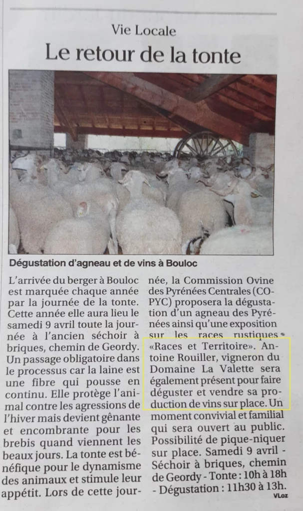 Dégustation des vins du Domaine La Valette lors de la journée de la transhumance et de la tonte - Bouloc - Avril 2022